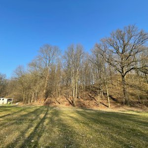 Wiesen neben Reitplatz