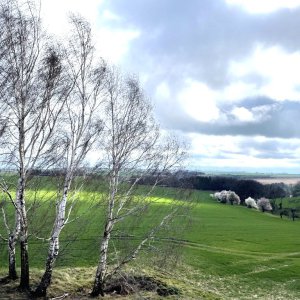 Blick aus Westgiebel