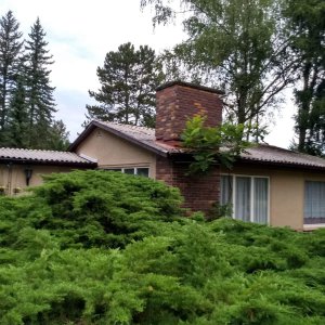 Bungalow im Grünen
