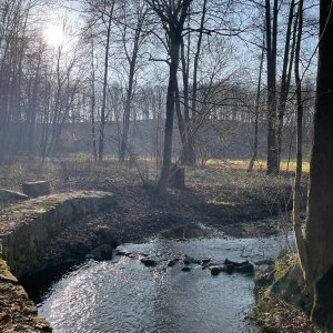 Ufer der Kleinen Triebisch