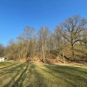 Wiesen neben Reitplatz