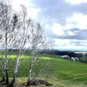Blick aus Westgiebel