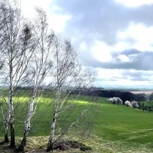 Blick aus Westgiebel