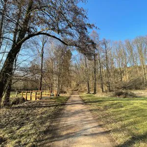 Weg entlang Wald